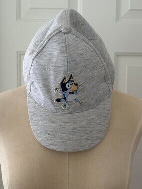Bluey grey baseball cap